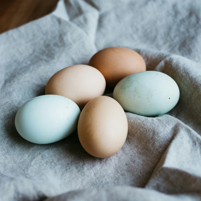 an image of eggs